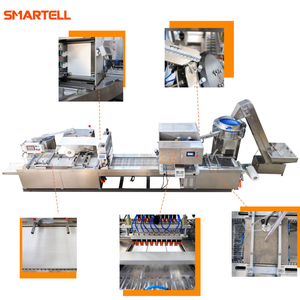Tam Otomatik SMT-4420 Kağıt ve Film Yüksek Hızlı Paketleme Blister Ambalaj Makinası